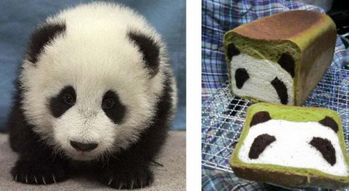 Pão com carinha de panda Pão com carinha de panda